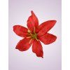 CE1380 ľalia red