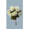 MP217204 cream