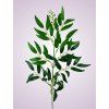 LIU388 ruscus green