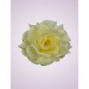 C019 ruža cream aut G 15