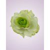 C019 ruža cream green CR134