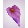 MP19005 kala purple