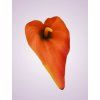 MP19005 kala orange