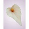 MP19005 kala lt peach