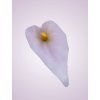 MP19005 kala lt lilac