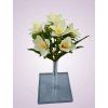 HS7267 kytica lalia cream 1