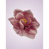 10223 amarylis mauve