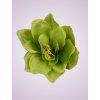 10223 amarylis lt green