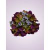 MP548 hortenzia purple