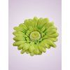 233668 gerbera zelená C