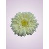 233668 gerbera krémová