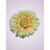 233668 gerbera žlto ruda