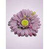 233668 gerbera fialova J