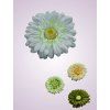 233668 gerbera