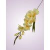 MP19001 gladiola lt peach aut