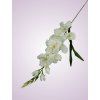 MP19001 gladiola pure white