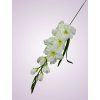 MP19001 gladiola white green