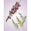 MP19001 gladiola