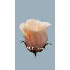 UP960117 ruza lt pink