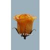 UP980117 ruza beige