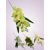 MP19002 gladiola