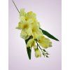 MP19002 gladiola yellow tch