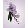 MP19002 gladiola lt lilac