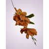 MP19002 gladiola brown aut