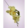 MP19002 gladiola lt yellow aut.
