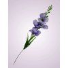 Y2216 gladiola mini kus. fialova