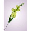 Y2216 gladiola mini kus. zelena