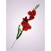 Y2216 gladiola mini kus. cervena
