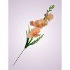 Y2216 gladiola mini kus. broskynova