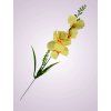Y2216 gladiola mini kus. zlta