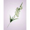 Y2216 gladiola mini kus. biela