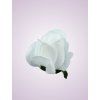 AR10621 ruža pure white