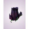AR10621 ruža purple
