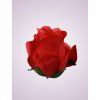 AR10621 ruža red