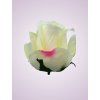 AR10621 ruža lt peach tch