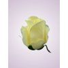 AR10621 ruža lt yellow