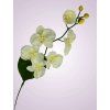 C99346 orchidea kus. cream 1