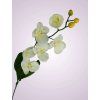 C99346 orchidea kus. cream