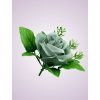 ML6031 ruža greyblue