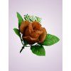 ML6031 ruža brown tch green