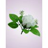 ML6031 ruža pure white