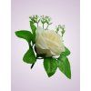 ML6031 ruža dk cream 50#