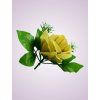 ML6031 ruža green tch