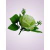 ML6031 ruža lt green