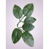Y20169 list ruza dark green