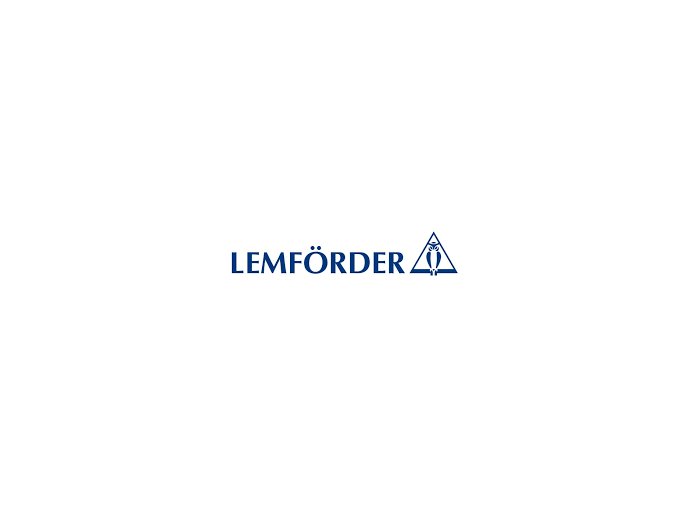 Hlava příčného táhla řízení (LEMFÖRDER 18004 02)